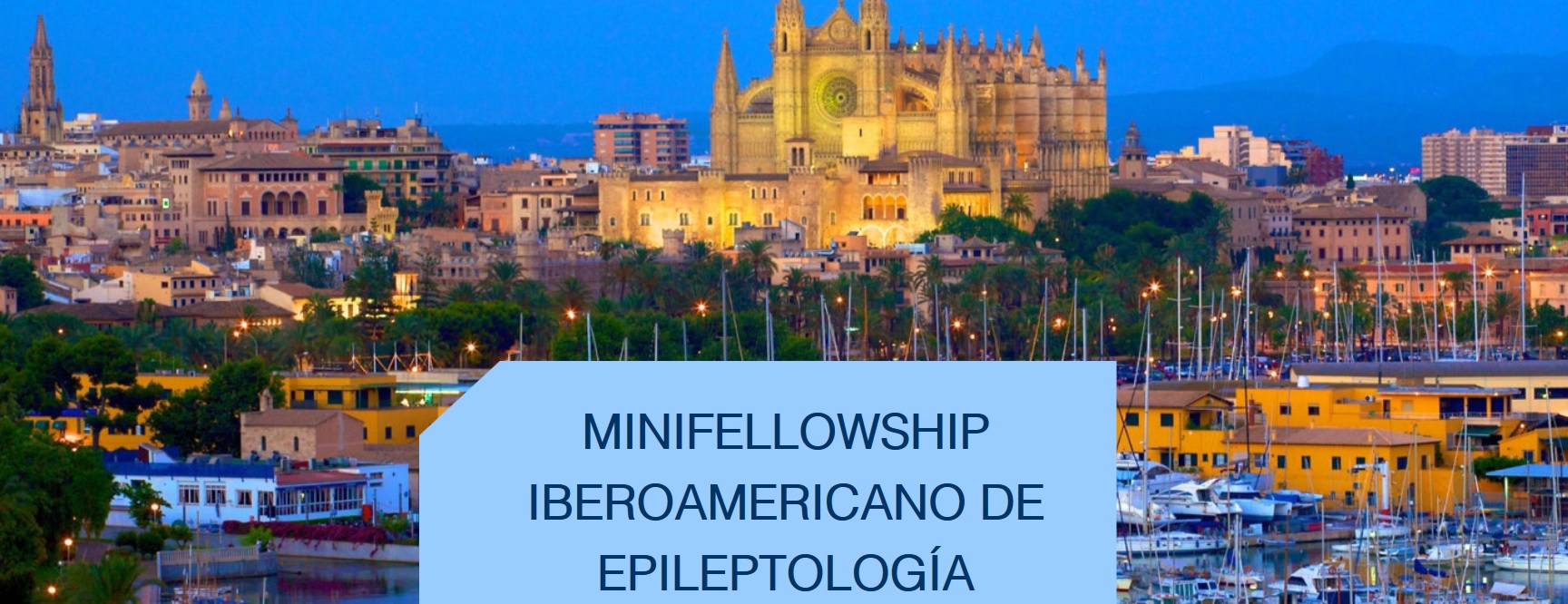 MINIFELLOWSHIP_2019